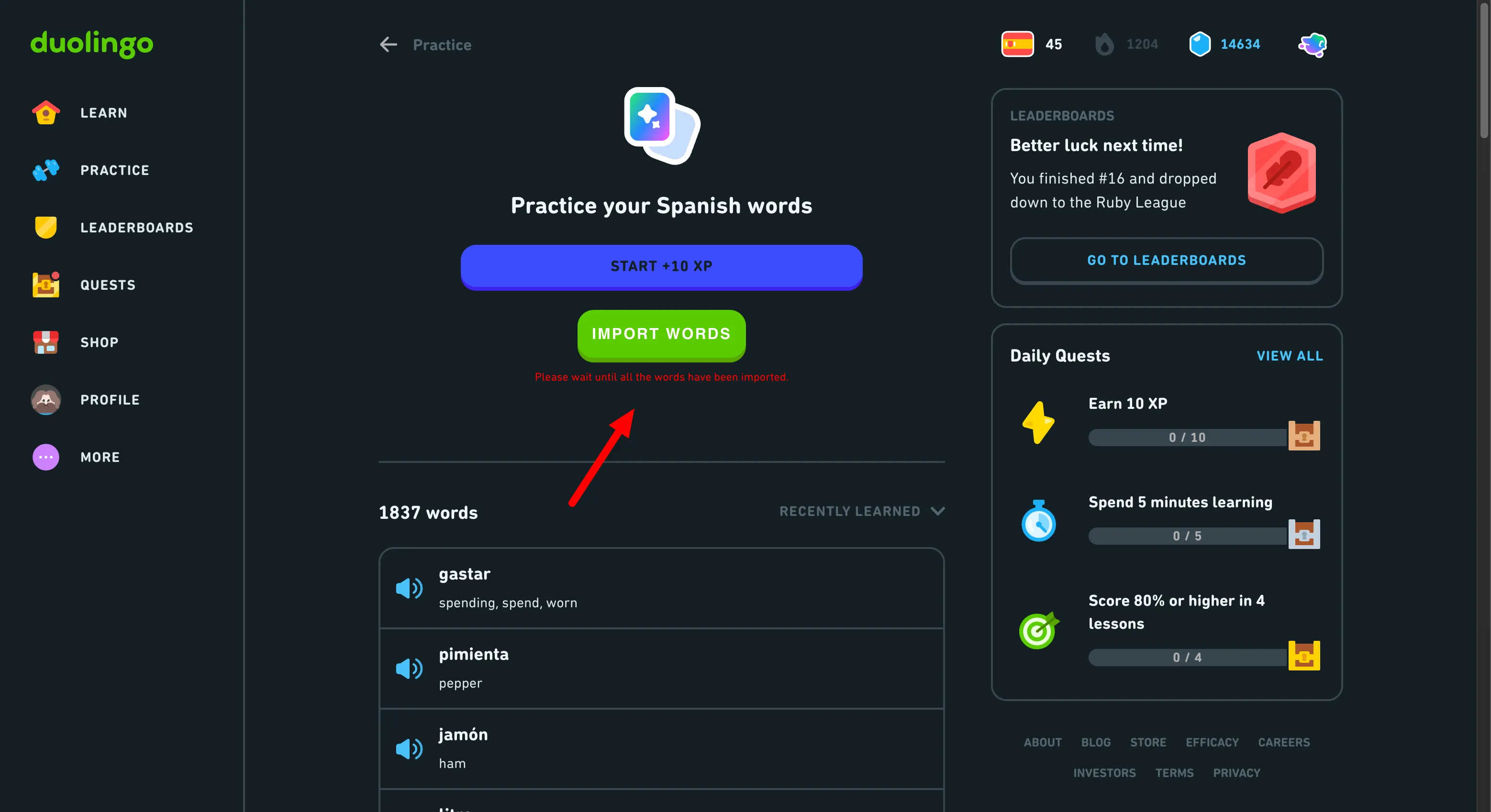 Download Duolingo vocabulary